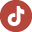 logo tiktok